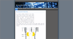Desktop Screenshot of blaasontsteking.net